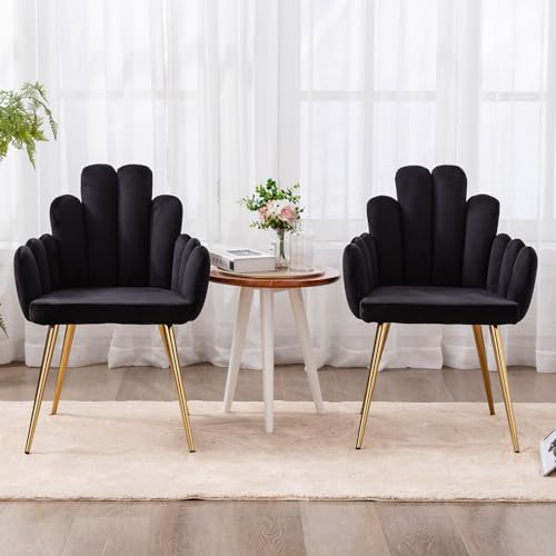 chairus 2er Set Samt Esszimmerstühle Küche gepolsterter Sitz Sessel Schlafzimmer Wohnzimmer Akzentstuhl mit Metallbeinen(Schwarz) von chairus