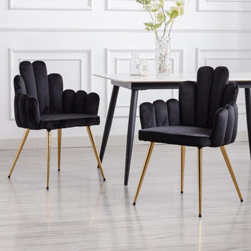 chairus 2er Set Samt Esszimmerstühle Küche gepolsterter Sitz Sessel Schlafzimmer Wohnzimmer Akzentstuhl mit Metallbeinen(Schwarz) von chairus