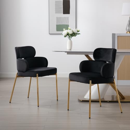 chairus 2er Set Samt Gepolsterte Esszimmerstühle für Küche Moderne Küchenstühle Sessel Wohnzimmer Polsterstuhl für Esstisch Esszimmer (Schwarz) von chairus