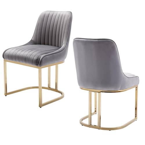 chairus Esszimmerstühle 2er Set Samt für Wohnzimmer Gepolsterte Küchenstühle mit Metallbeinen Armlose Stühle für Schlafzimmer (Grau-2) von chairus