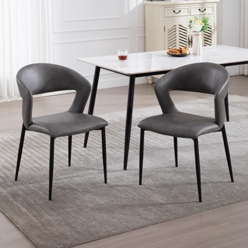 chairus Esszimmerstühle 2er Set mit Rückenlehne, Modern Küchenstühle aus Kunstleder für Küche Esszimmer Wohnzimmer, Polsterstuhl mit Metallbeinen, Grau von chairus