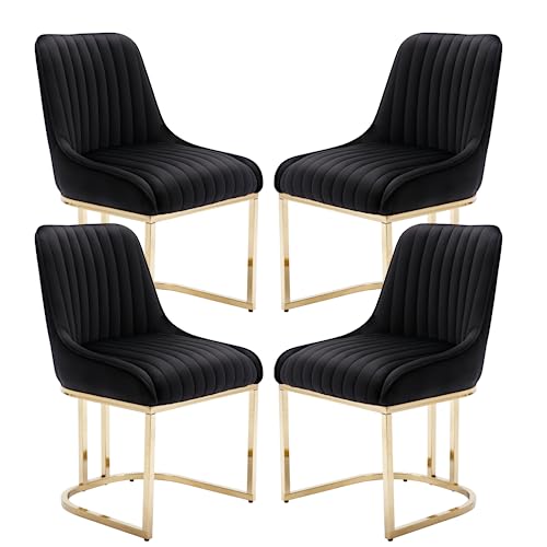 chairus Esszimmerstühle 4er Set Samt Polsterstuhl Esszimmer Küchenstühle mit Gold Metallbeinen Gepolsterte Essstühle für Küche (Schwarz-4) von chairus