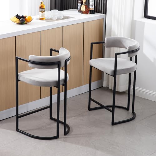 chairus Küchenhocker Samt 2er Set Barhocker Frühstück Modern Tresenhocker für Esszimmer Höhe Bistrohocker mit Lehne (Grau) von chairus