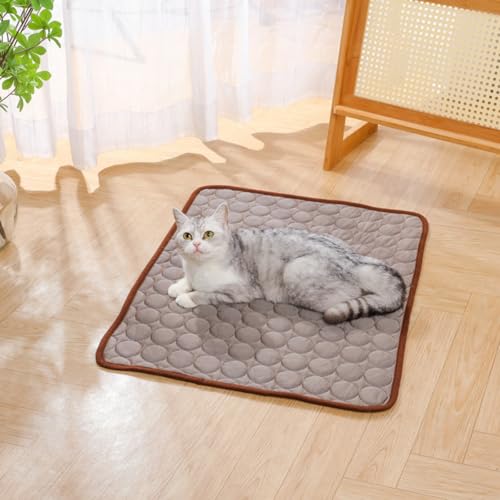 2 Stück Generisch Hundekühlmatte, Tragbares Hundekühlebett, Machine Washable Cooling Dog Bed, für Wohnzimmer Schlafzimmer Terrasse Garten Haus (Curry,50x40 cm) von champracer