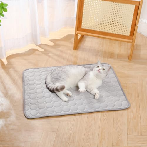 2 Stück Generisch Hundekühlmatte, Tragbares Hundekühlebett, Machine Washable Cooling Dog Bed, für Wohnzimmer Schlafzimmer Terrasse Garten Haus (Grau,70x55 cm) von champracer