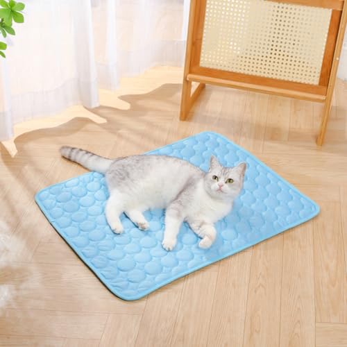 2 Stück Generisch Hundekühlmatte, Tragbares Hundekühlebett, Machine Washable Cooling Dog Bed, für Wohnzimmer Schlafzimmer Terrasse Garten Haus (Himmelblau,70x55 cm) von champracer