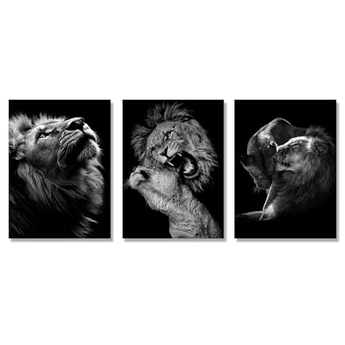 3 Poster Set, Premium bilder Löwe set leinwand bilder Kunst Poster, Modern Wanddeko für Wandbilder Wohnzimmer Schlafzimmer Küche und Badezimmer, Ohne Rahmen (21x30 cm,Kunst) von champracer