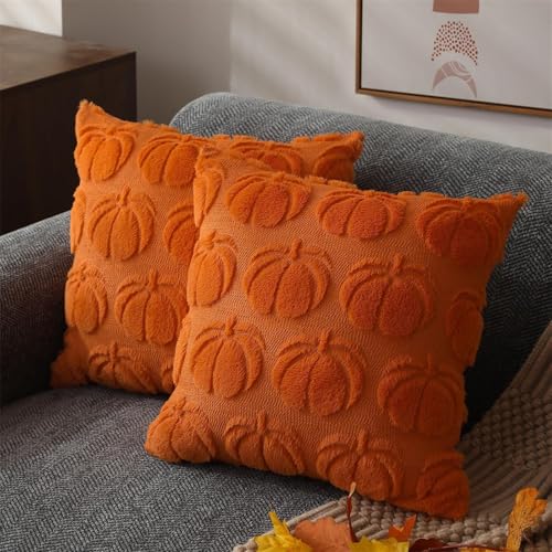 Kissenbezug KüRbis Herbstmotiv 45x45 Cm, Herbst KissenbezüGe KissenhüLle Herbstliche, Herbstdeko Halloween, Modern Herbstdeko Innen Aesthetic Zimmer Deko, KissenbezüGe Deko Wohnzimmer (2xOrange) von champracer