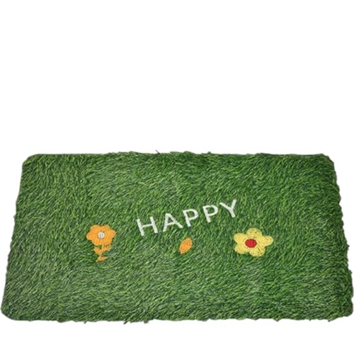 Kunstrasen-Fußmatte, dicker Rasenteppich für drinnen und draußen,Realistische Kunstrasenmatte,40x60cm Kunstrasenteppich mit PRT-Rückseite ohne Schmutz, haustierfreundlich,synthetische Fußmatte (J) von champracer