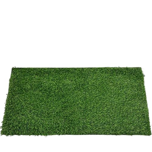 Kunstrasen-Fußmatte, dicker Rasenteppich für drinnen und draußen,Realistische Kunstrasenmatte,40x60cm Kunstrasenteppich mit PRT-Rückseite ohne Schmutz, haustierfreundlich,synthetische Fußmatte (A) von champracer