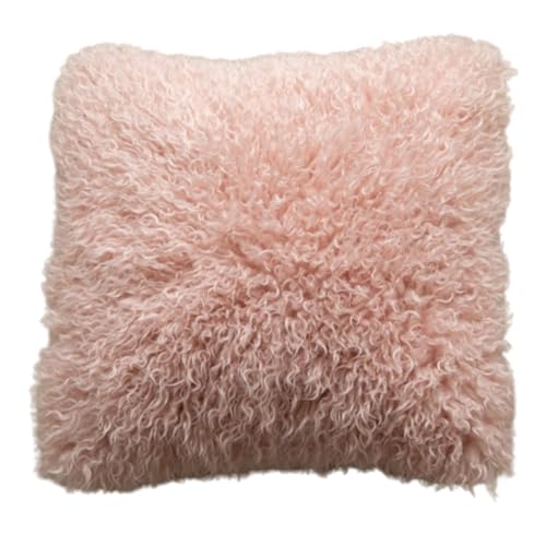 champracer 2er 45cm Kissenbezug Weiche Getuftet kissenbezüge mit Quasten Boho Baumwolle Leinen Dekokissen Zierkissenbezug für Schlafzimmer Wohnzimmer Baumwoll Moderne No fillers (Plüsch) von champracer