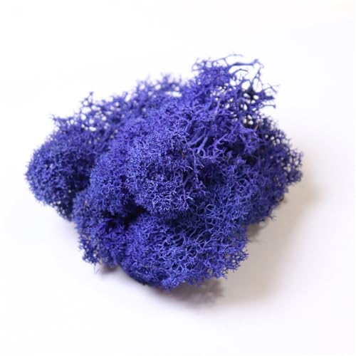 champracer Unzen Künstliches Moos, Zum Basteln Moos Pflanzen Deko Mooswand Lebend Konserviertes,Für Kreative Bastelprojekte Und Pflanzenverschönerung (Königsblau,500g) von champracer