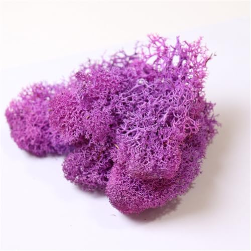 champracer Unzen Künstliches Moos, Zum Basteln Moos Pflanzen Deko Mooswand Lebend Konserviertes,Für Kreative Bastelprojekte Und Pflanzenverschönerung (Rosenrot,10g) von champracer