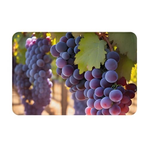 chenfandi Fußmatte Desert Grapesfront, saugfähige und rutschfeste Willkommensmatte, 60 x 40 cm, für Foyer, Eingang, Schlafzimmer von chenfandi