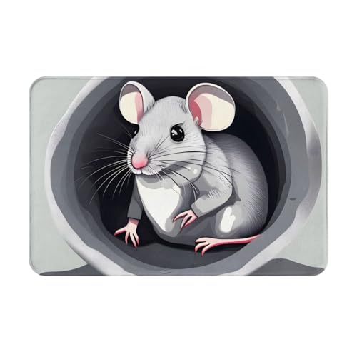chenfandi Fußmatte mit Maus in den Löchern, saugfähige und rutschfeste Willkommensmatte, 60 x 40 cm, für Foyer, Eingang, Schlafzimmer von chenfandi