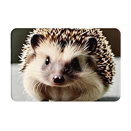 chenfandi Niedliche Igel-Fußmatte, Willkommensmatte, 40 x 60 cm, rutschfeste Willkommensmatte für den Innen- und Außenbereich. von chenfandi