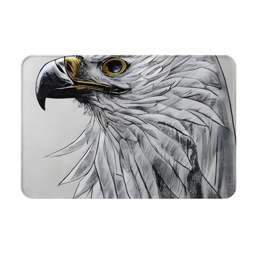 chenfandi Sketching An Eaglefront Fußmatte, saugfähige und rutschfeste Willkommensmatte, 60 x 40 cm, für Foyer, Eingang, Schlafzimmer von chenfandi