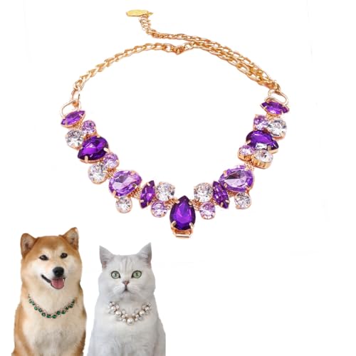 Hundehalsband und Katzenhalsband, Goldkette, verstellbar, Strass-Halsband mit niedlicher Haustierpfote für kleine, mittelgroße Haustiere, Katzen, Hunde, Kätzchen, Welpen (Pueple, S) von chichendianzi