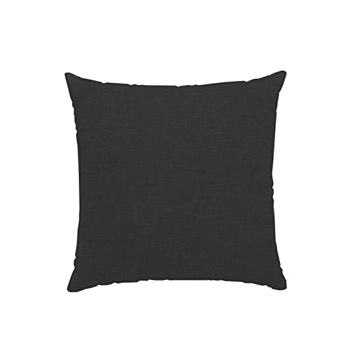 chilly pilley Dekokissen Kopfkissen Zierkissen Sofakissen Kleines Garten Kissen Couchkissen Gartenkissen Indoor Outdoor Lounge Dekoratives 2X 40x40 cm Schwarz von chilly pilley