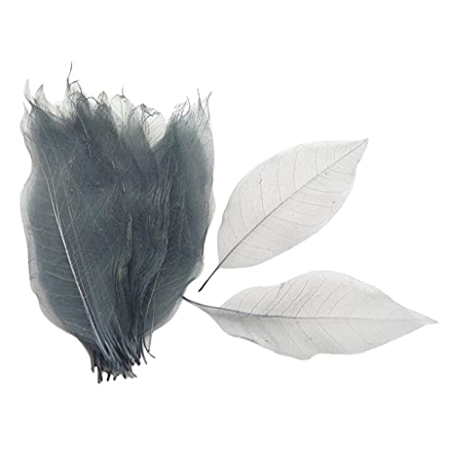 100 Teilelos Magnolia Skeleton Leaf Naturkautschuk Blätter Künstliche Blätter Karten Sammelalben DIY Handgemachte Verzierungen Dekoratio, Grau weiß, 15-18 cm von chiwanji