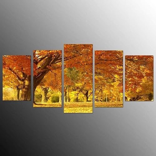 chyongshan-Leinwand Wandkunst Dekoration Druck Poster Foto5 Stück Moderne LeinwandGelber AhornblattwaldWohnzimmer und Schlafzimmer Heimdekoration Geschenke Malerei Kunst Foto40 x22 von chyongshan