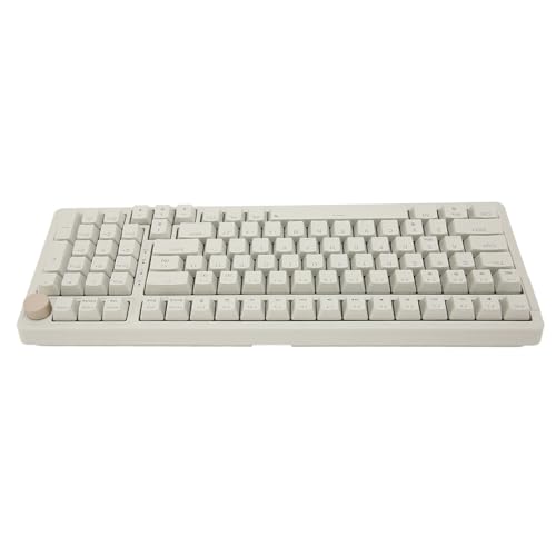 ciciglow N Key Rollover Hot-Swap-fähige Mechanische Tastatur mit 20 Lichteffekten, Roter Schalter, USB-kabelgebundene Tastatur fürVista 7 8 10 11, OS X, von ciciglow