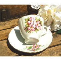 Rosa Hartriegel Blüten-Teetassen-Set. Entzückende Frühlings-Hartriegel-Blüte in Der Tasse, Gold Scalloped Trim. Perfekt Für Enkelin Zum Mitmachen von classy10