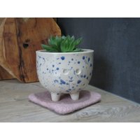 Blumentopf Konfetti Geschenk Blumentopf Konfetti Geschenk von claudiaskreationen