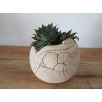 Pflanzkugel Pflanztopf Geschenkidee von claudiaskreationen