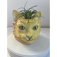 Walter Big Gelb Orange Kat Übertopf von clayflower22