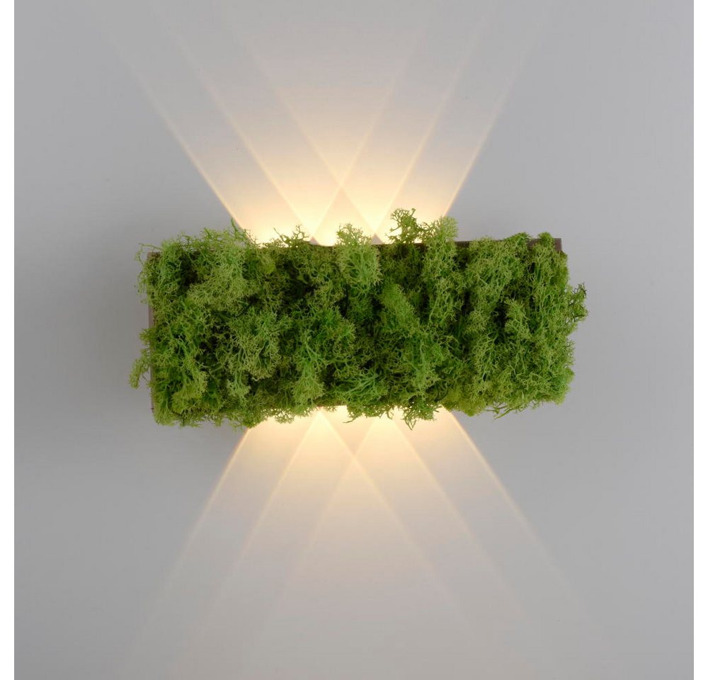 click-licht LED Wandleuchte LED Wandleuchte Green Carlo in Moos und Natur-dunkel 4,8W 130lm, keine Angabe, Leuchtmittel enthalten: Ja, fest verbaut, LED, warmweiss, Wandleuchte, Wandlampe, Wandlicht von click-licht