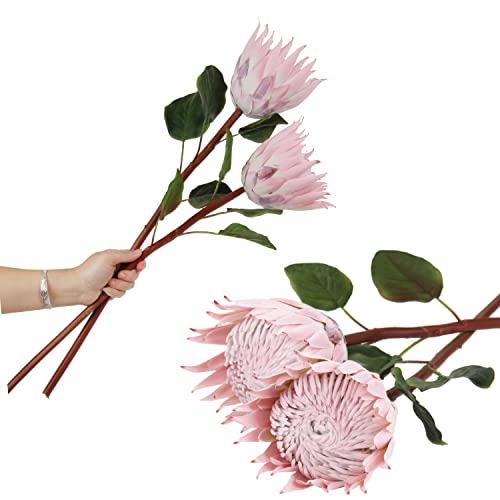 cn-Knight 4 künstliche Protea-Blumen, 66 cm, super langer Stiel, künstliche Protea-Blumen, Seidenprotea für Heimdekoration, Tafelaufsatz, Handwerk, Hochzeitsstrauß, Zubehör, Rosa von cn-Knight