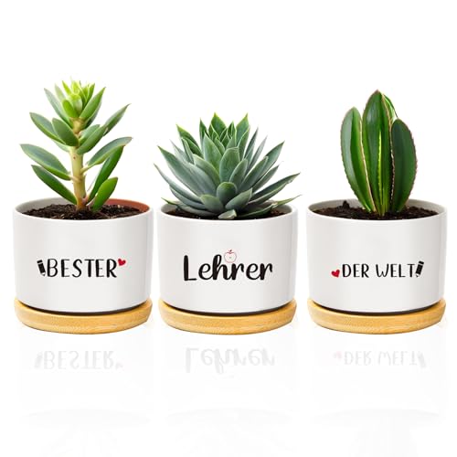 coTaSiEY Lehrer Geschenk, Beste Lehrer Blumentopf BlumentöPfe Dankeschön Erzieher Abschiedsgeschenk Weihnachten Geschenk Zum Abschied Erzieher Ideen Teacher Appreciation Gifts von coTaSiEY
