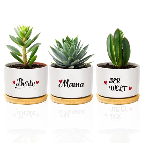 Muttertagsgeschenk, Beste Mama Blumentopf Blumentöpfe Geschenke für Mama Mutter Geburtstagsgeschen Mothers Day Gifts Ostergeschenk Muttertagsgeschenk, Beste Mama Blumentopf Blumentöpfe Geschenke für Mama Mutter Geburtstagsgeschen Mothers Day Gifts Ostergeschenk von coTaSiEY