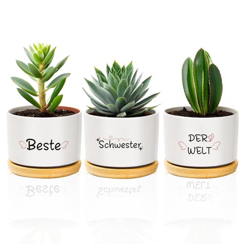 Schwester Geschenk, Beste Schwester Sister Geschenke Blumentopf Blumentöpfe Geburtstagsgeschenk Geschenkideen von coTaSiEY