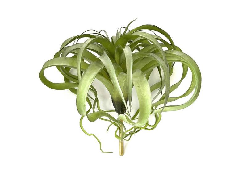 Kunstpflanze Kunstpflanze Grün Tillandsie für Vase oder zum Stecken 30 x 30 cm, colmore, Höhe 30 cm von colmore
