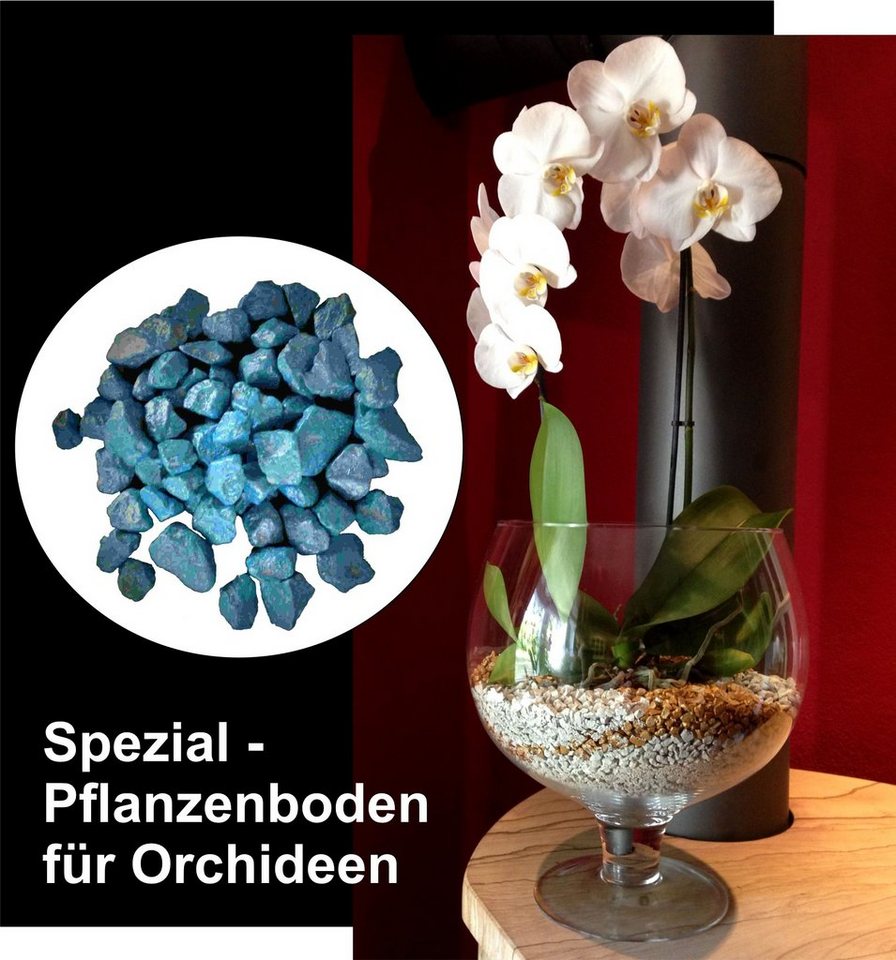 colomi Pflanzgranulat Spezial Pflanzboden für Orchideen - patentiert blau, mit Ionenaustauscher, 1 Liter colomi Pflanzgranulat Spezial Pflanzboden für Orchideen - patentiert blau, mit Ionenaustauscher, 1 Liter von colomi