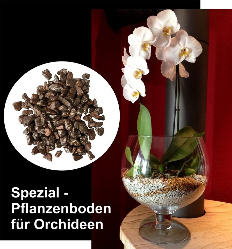 colomi Pflanzgranulat Spezial Pflanzboden für Orchideen - patentiert erdbraun, mit Ionenaustauscher, 1 Liter colomi Pflanzgranulat Spezial Pflanzboden für Orchideen - patentiert erdbraun, mit Ionenaustauscher, 1 Liter von colomi