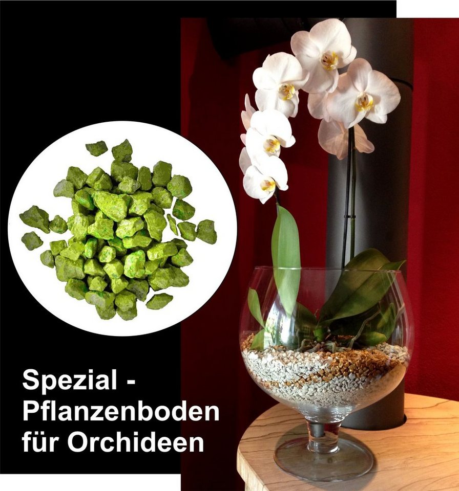 colomi Pflanzgranulat Spezial Pflanzboden für Orchideen - patentiert grün, mit Ionenaustauscher, 1 Liter colomi Pflanzgranulat Spezial Pflanzboden für Orchideen - patentiert grün, mit Ionenaustauscher, 1 Liter von colomi
