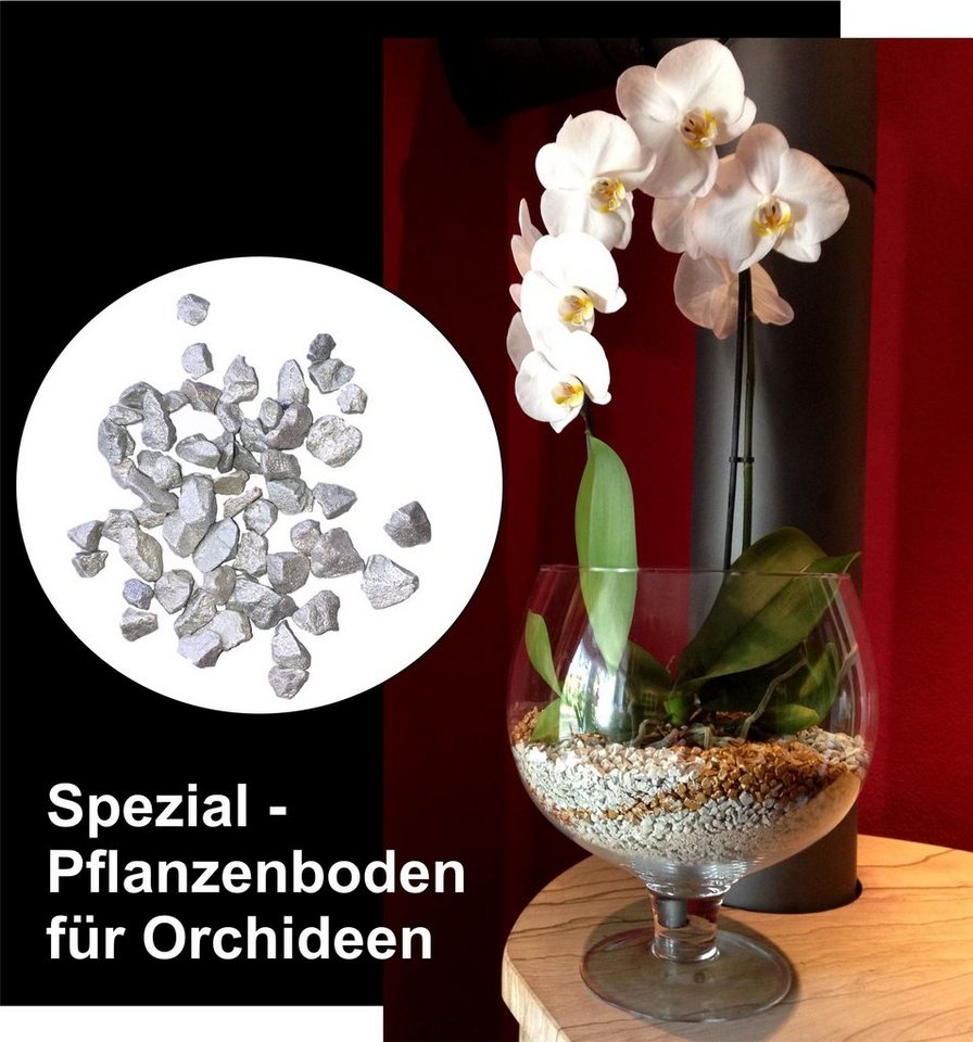 colomi Pflanzgranulat Spezial Pflanzboden für Orchideen - patentiert silber, mit Ionenaustauscher, 1 Liter colomi Pflanzgranulat Spezial Pflanzboden für Orchideen - patentiert silber, mit Ionenaustauscher, 1 Liter von colomi