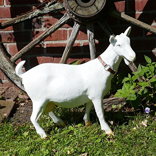 colourliving Ziege Figur groß | Gartenfigur Ziege Mecki weiß | handbemalte Ziegenfigur XL für Garten oder im Haus von colourliving