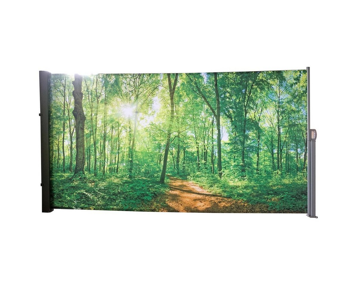 colourliving Seitenmarkise Seitenmarkise ausziehbar mit Dekor Wald 300x160 cm Fotodruck Motiv Wald, einfach ausziehbar, wetterfest von colourliving