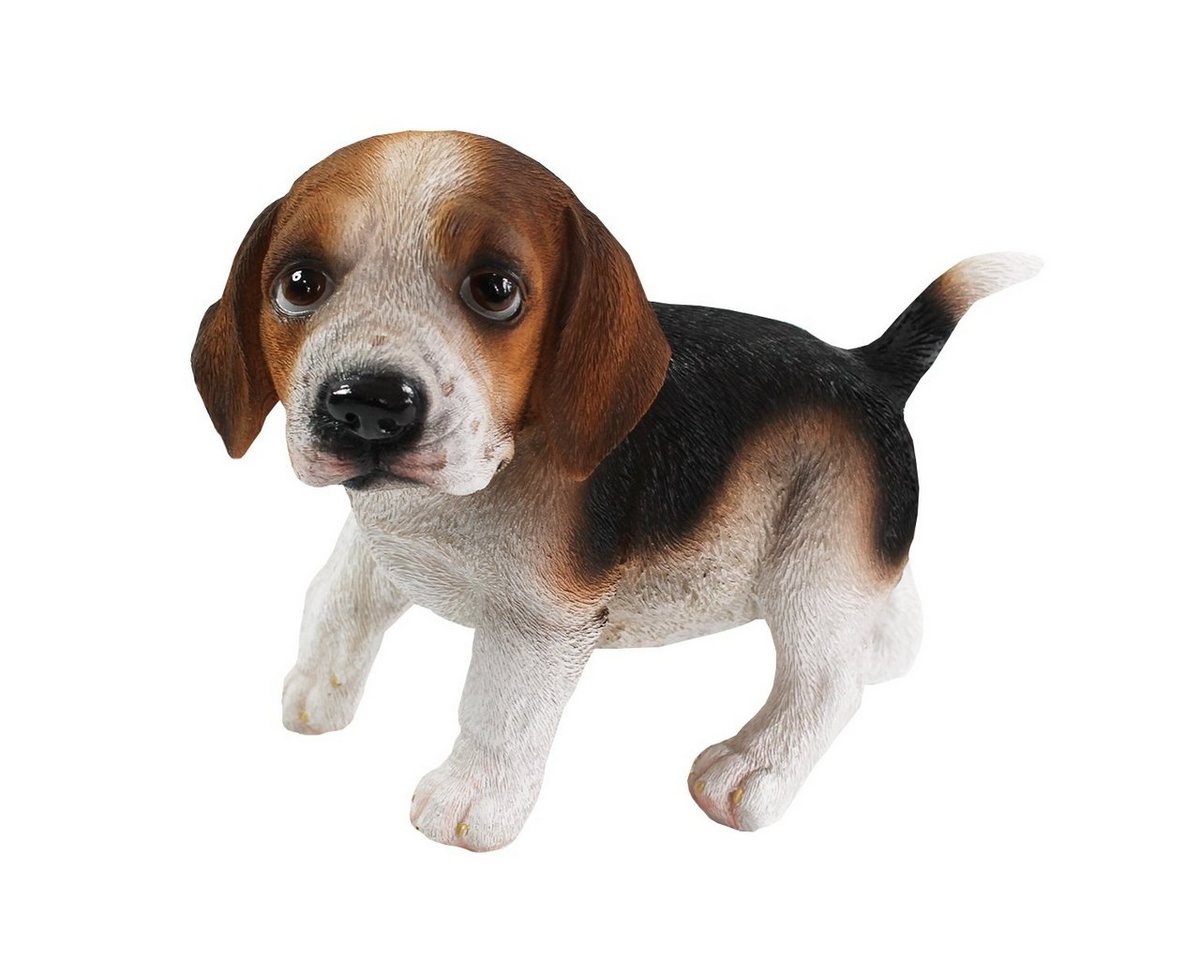 colourliving Tierfigur Beagle Figur stehend Hundefigur lebensecht Deko Hundefigur (1x stehend), handbemalt, wetterfest, lebensecht wirkend von colourliving