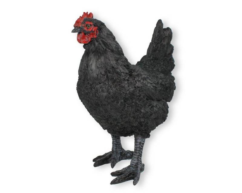 colourliving Tierfigur Gartendeko Huhn Figur Schwarz 35cm stehend Deko, handbemalt, realistische Darstellung von colourliving