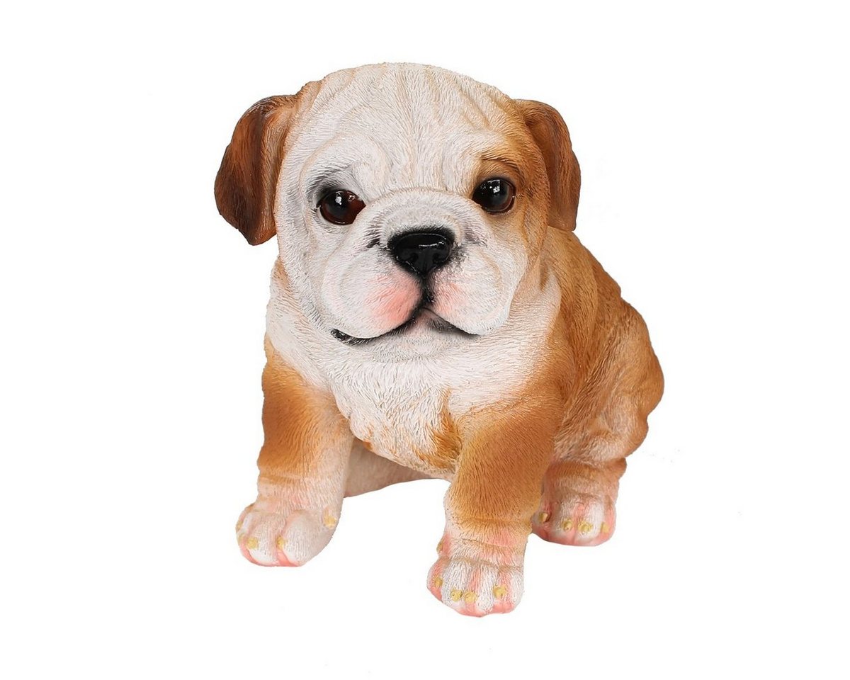 colourliving Tierfigur Hunde Figur Bulldogge Figur sitzend Hunde Deko lebensechte Hundefigur (1x sitzend), handbemalt, wetterfest, lebensecht wirkend von colourliving