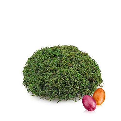 com-four® 100g grünes DIY Bastel-Moos für Osterkörbchen - echtes Deko-Moos zum Basteln und Dekorieren von Osternestern (Set2 - Dekomoos) von com-four