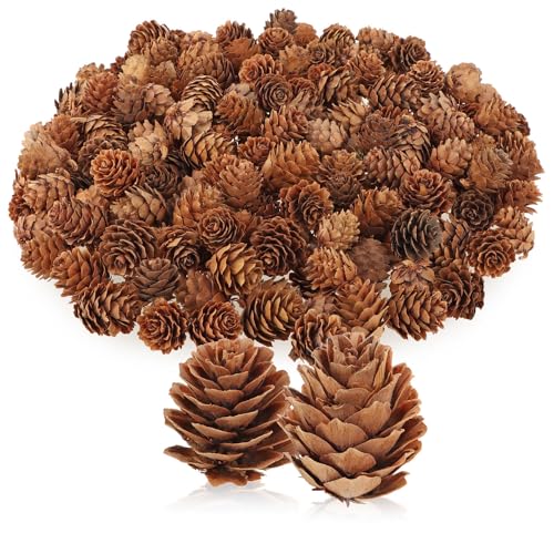 com-four® 200x Dekozapfen Lärche - Streudeko für Herbst und Winter - Zapfendeko - kleine Lärchenzapfen - Tannenzapfen (200x Lärchenzapfen Natur) von com-four