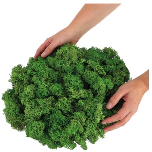 com-four® 250g Oster-Dekomoos – Bastel-Moos, Naturmoos, echtes Deko-Moos zum Basteln & Dekorieren, Moos für Osterdeko, Frühling, Tischdeko, Kränze, Nester, Modellbau & Natur (Deko-Moos - 250g) von com-four