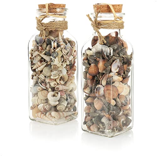com-four® 2x Deko-Muscheln - Glasflasche gefüllt mit schönen Muscheln - maritime Dekoartikel im Glas für Meeresfeeling [Auswahl variiert] (2 Flaschen - braun) von com-four