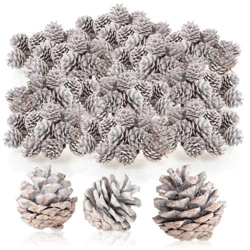 com-four® 300x Tannenzapfen weiße Spitze - Pinienzapfen als Weihnachtsdekoration - Zapfendeko - Streudeko - Bastelset - Weihnachtsschmuck (300x weiße Spitzen) von com-four